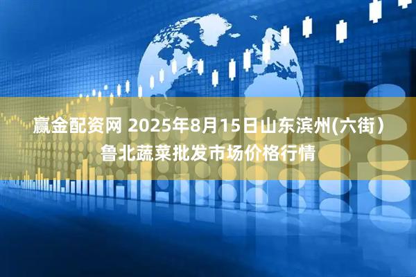 赢金配资网 2025年8月15日山东滨州(六街）鲁北蔬菜批发市场价格行情