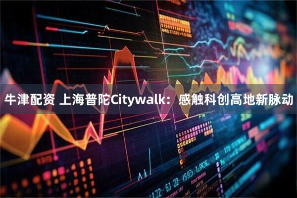 牛津配资 上海普陀Citywalk：感触科创高地新脉动
