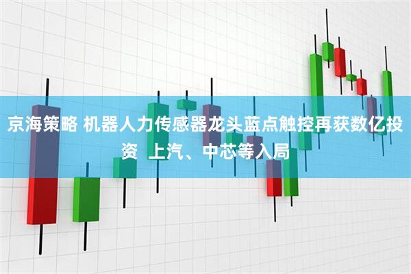 京海策略 机器人力传感器龙头蓝点触控再获数亿投资  上汽、中芯等入局